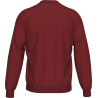 Sweat ERREA MATT MARRON/WHITE DOS