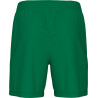 Short ERREA New Skin vert dos