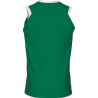 Maillot de basket ERREA Dayton VERT DOS