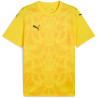 Maillot PUMA Teamultimate