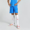 Short PUMA Team Liga