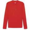 Baselayer manches longues TeamGOAL Puma