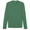 Baselayer manches longues TeamGOAL Puma