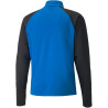 Sweat 1/4 Zip Puma Team Liga