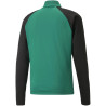 Sweat 1/4 Zip Puma Team Liga