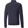 Sweat 1/4 Zip Puma Team Liga