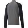 Sweat 1/4 Zip Puma Team Liga