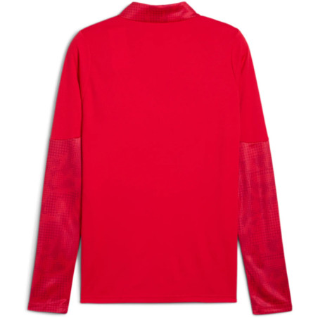 Sweat 1/4 Zip Puma TeamCup