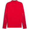 Sweat 1/4 Zip Puma TeamCup