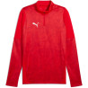 Sweat 1/4 Zip Puma TeamCup