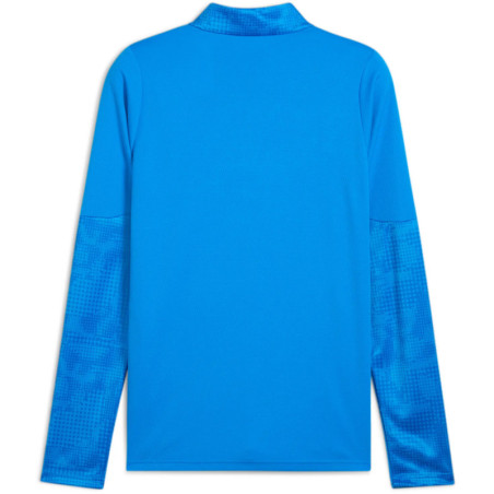 Sweat 1/4 Zip Puma TeamCup