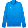 Sweat 1/4 Zip Puma TeamCup