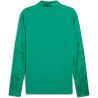 Sweat 1/4 Zip Puma TeamCup