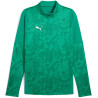 Sweat 1/4 Zip Puma TeamCup