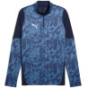 Sweat 1/4 Zip Puma TeamCup