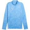 Sweat 1/4 Zip Puma TeamCup
