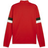 Sweat 1/4 Zip Puma TeamRise