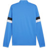 Sweat 1/4 Zip Puma TeamRise