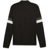 Sweat 1/4 Zip Puma TeamRise