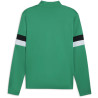 Sweat 1/4 Zip Puma TeamRise