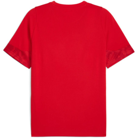 Tee shirt PUMA TeamCup Training