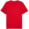 Tee shirt PUMA TeamCup Training