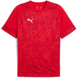 Tee shirt PUMA TeamCup Training 2