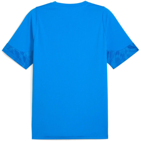 Tee shirt PUMA TeamCup Training