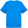 Tee shirt PUMA TeamCup Training