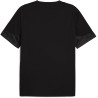 Tee shirt PUMA TeamCup Training