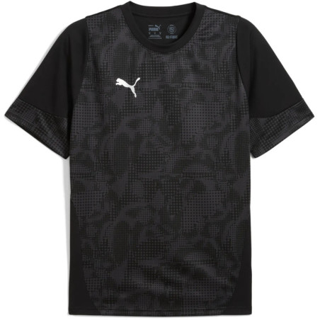 Tee shirt PUMA TeamCup Training
