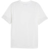 Tee shirt PUMA TeamCup Training