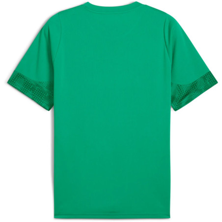 Tee shirt PUMA TeamCup Training