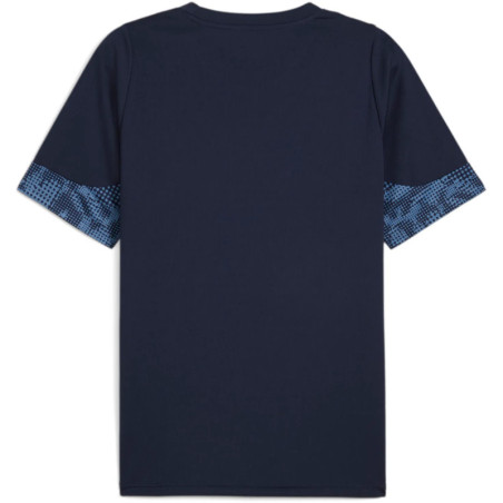 Tee shirt PUMA TeamCup Training