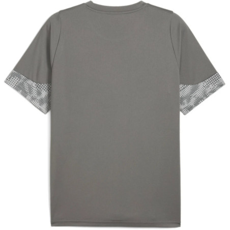 Tee shirt PUMA TeamCup Training