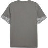 Tee shirt PUMA TeamCup Training