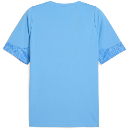 Tee shirt PUMA TeamCup Training