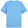 Tee shirt PUMA TeamCup Training