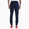 Pantalon Puma TeamRise Training