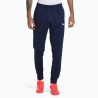 Pantalon Puma TeamRise Training