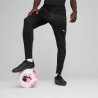 Pantalon Puma TeamFinal Training