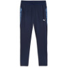 Pantalon Puma TeamCup Training
