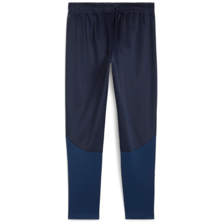Pantalon Puma TeamGoal Training