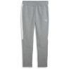 Pantalon Puma TeamEVOSTRIPE Training