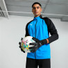 Veste de survêtement Club Puma Team Liga