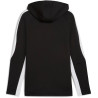Veste à Capuche PUMA teamEVOSTRIPE