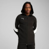 Veste à Capuche PUMA teamEVOSTRIPE