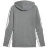 Veste à Capuche PUMA teamEVOSTRIPE