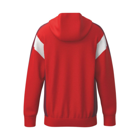 Veste d'entraînement ERIMA Celebrate 125 avec capuche