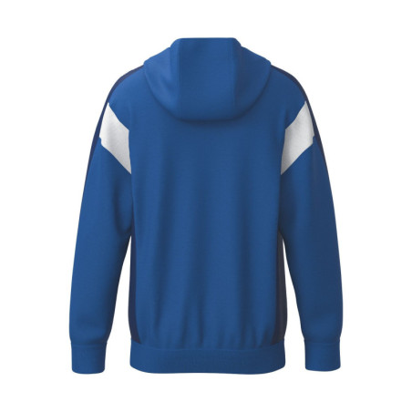 Veste d'entraînement ERIMA Celebrate 125 avec capuche